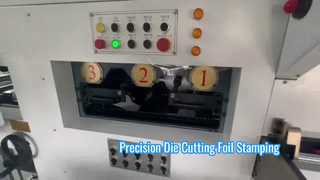 Máy cắt khuôn & dập lá tự động JIGUO TMY-800H